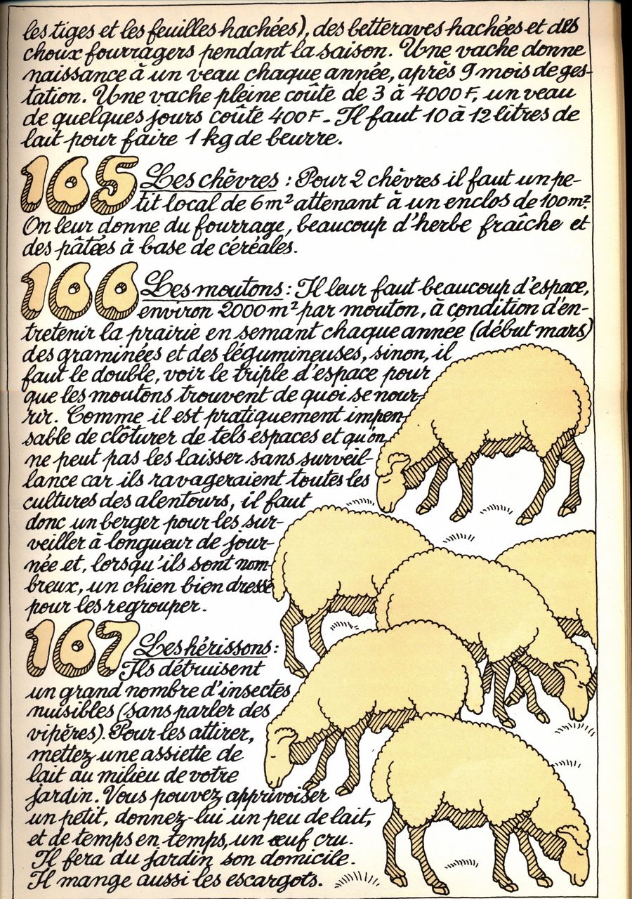 165 - les chèvres - 166 - les moutons - 167 - les hérissons